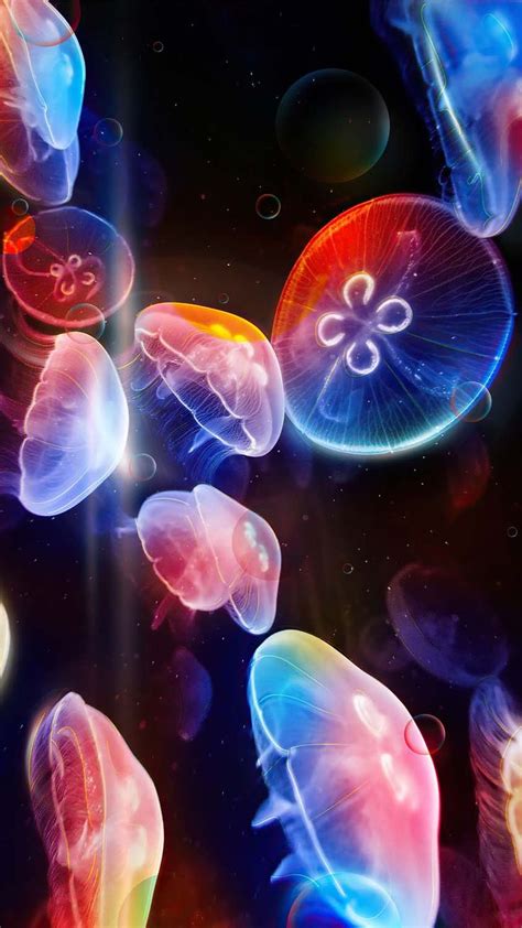 Jellyfish Glow IPhone Wallpaper HD - IPhone Wallpapers : iPhone Wallpapers | Free iphone ...