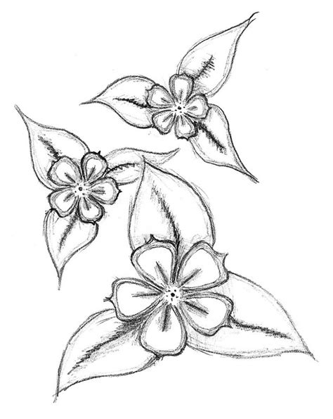 Cherry Blossom Pencil Drawing at GetDrawings | Free download