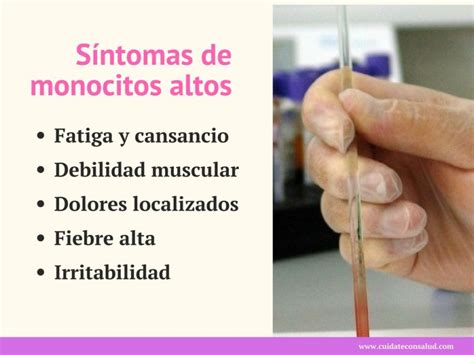 Monocitos Altos en Sangre ⇒ 【↓Síntomas y Tratamiento↓】