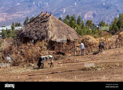 Ethiopian Farmer High Resolution Stock Photography and Images - Alamy