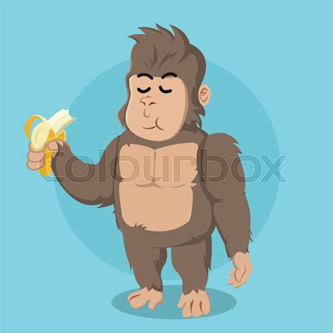 Gorilla eating banana vector ... | Stock vector | Colourbox