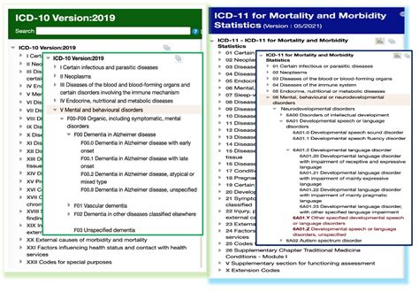 International Classification of Diseases (ICD) (IEKO)