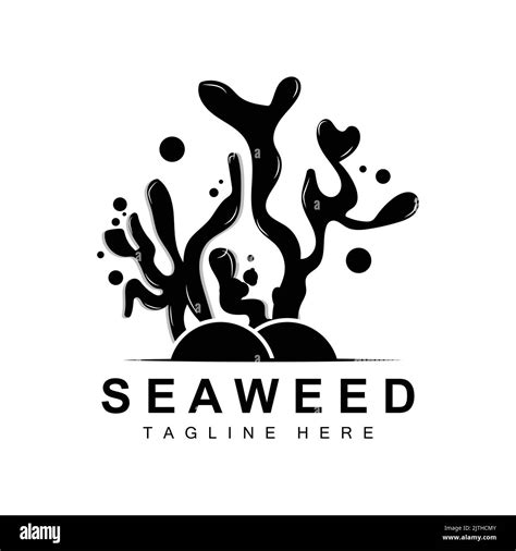 Seaweed Logo Design, Underwater Plant Illustration, Cosmetics And Food Ingredients Stock Vector ...