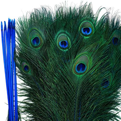 Dyed Peacock Feathers 8-15 inches long StemDyed Over Natural Peacock 5 to 100 Feathers available ...