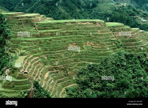 geography / travel, Philippines, landscape / landscapes, rice terrace ...