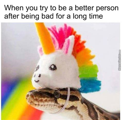 The best snek memes :) Memedroid