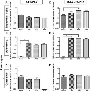 CCL2 gene expression in CNS microvascular endothelial cells, astrocytes... | Download Scientific ...