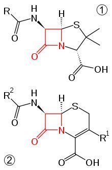 Beta-lactamase - Wikipedia, the free encyclopedia | Medicinal chemistry ...