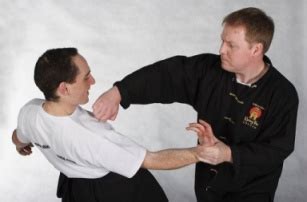 Kung Fu Hook Punch Chinese Martial Arts Golden Lion