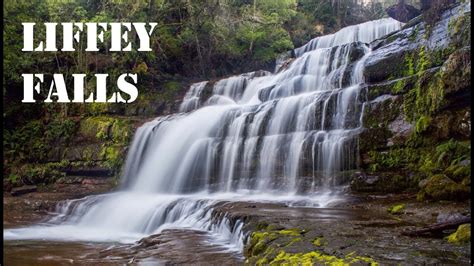 Liffey Falls - Tasmania Hiking - YouTube