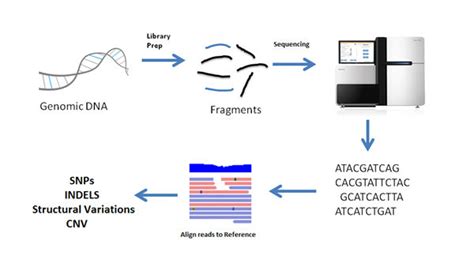 whole-genome-sequencing | Next Generation Sequencing and Bioinformatics ...