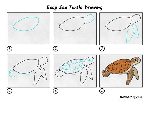 Sea Turtles Drawing