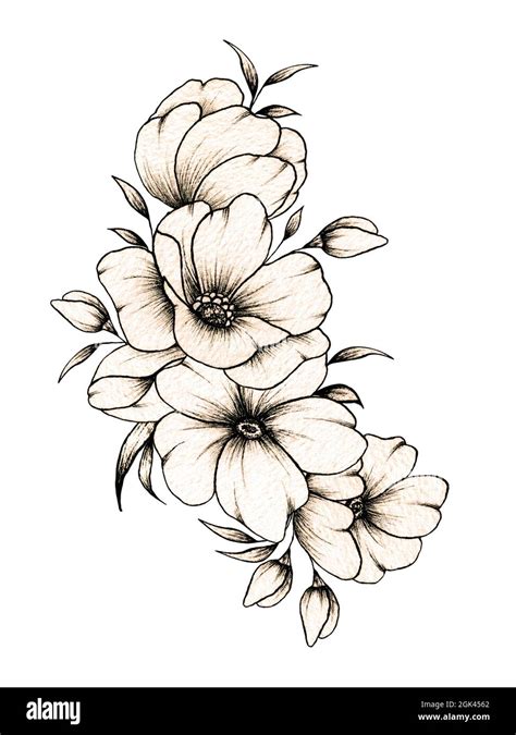 Hand drawn floral composition with various big and small flowers and leaves isolated on white ...