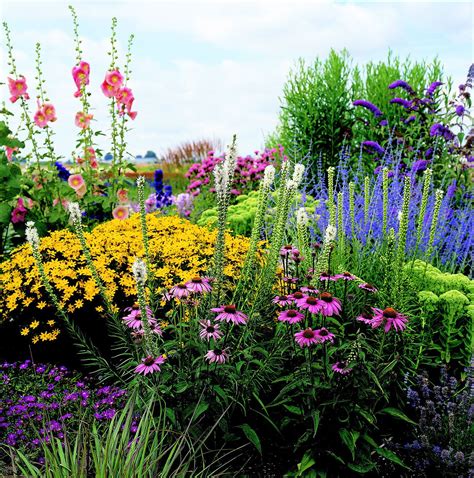 This Full-Sun Garden Plan Brings Color to Your Yard's Brightest Spots | Perennial garden plans ...