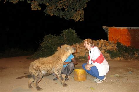 Hyena Feeding in Harar, Eastern Ethiopia