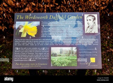 Information Panel for The Wordsworth Daffodil Garden, Grasmere, Lake District, Cumbria Stock ...