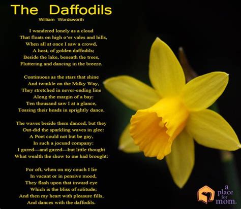 Poem: The Daffodils | Flower poem, Daffodils, Daffodils william wordsworth