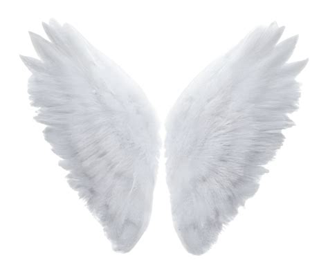 White Angel Wings Png Wings Png Angel Wings Png Angel Wings Images | Porn Sex Picture