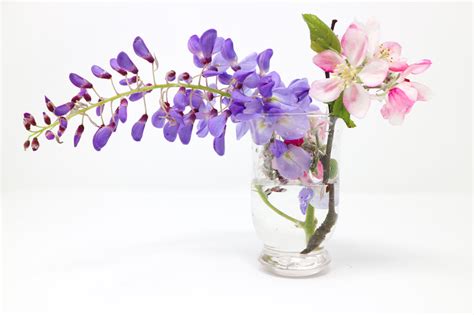 18 Traditional Japanese Flowers: Names & Images | Bouqs Blog