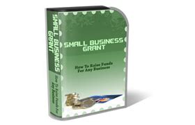 WP Theme and HTML Template Small Business Grant – PLR Database