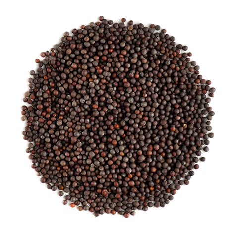 Black Mustard Seeds – Hambelela Organic