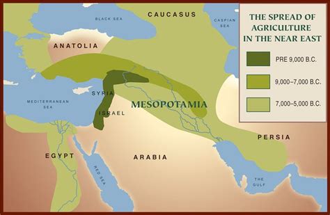 Neolithic Age | Neolithic revolution, Neolithic, Cradle of civilization