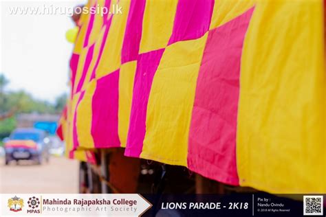 Mahinda Rajapaksha college homagama - Parade of the Lions 2018 - Photo Gallery - Hiru Gossip ...