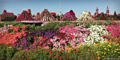 Discover Dubai Miracle Garden... with Kids • Our Globetrotters