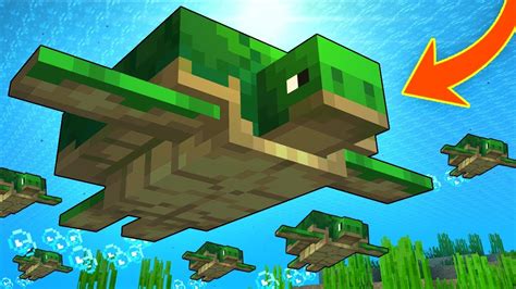 Everything You Need To Know About TURTLES In Minecraft! - YouTube