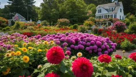 Top Flowers To Plant In Connecticut Gardens