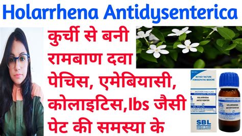 Holarrhena Antidysenterica | Kurchi | Indian Homeopathic Medicine ...