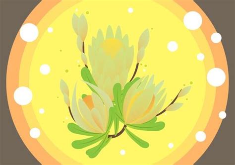 Protea Vector Art, Icons, and Graphics for Free Download