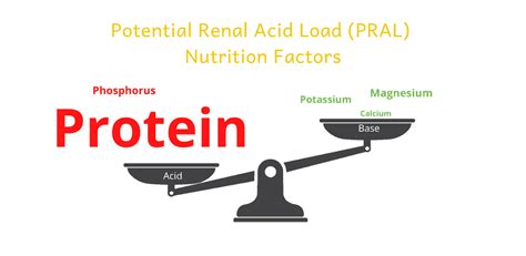 What Is PRAL & How Does It Affect Kidneys? - The Kidney Dietitian