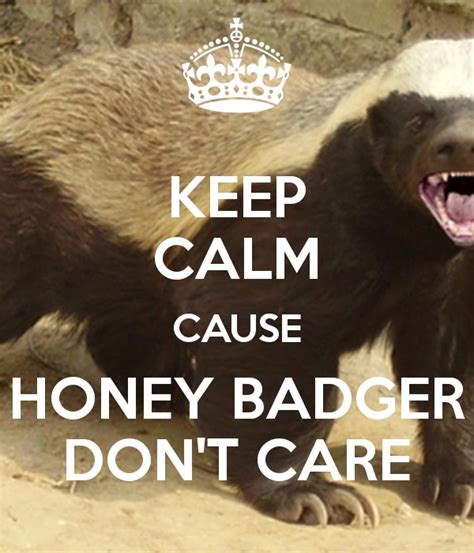 Honey Badger don't care - Honey Badger Photo (38506718) - Fanpop