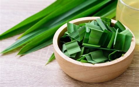 Jadi Incaran di Bulan Ramadhan, Ini Khasiat Daun Pandan bagi Kesehatan | BeritaBeta