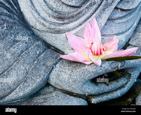 Buddha lotus flower hi-res stock photography and images - Alamy