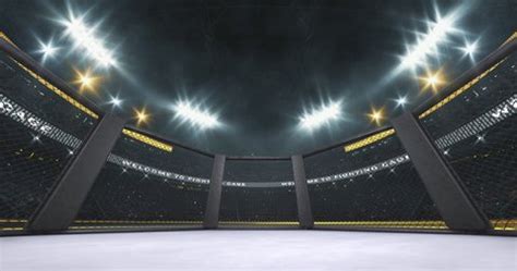 152 Mma Cage Background Stock Video Footage - 4K and HD Video Clips ...