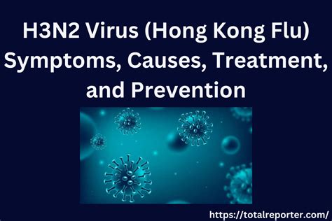 H3n2 Symptoms 2024 - Aidan Arleyne