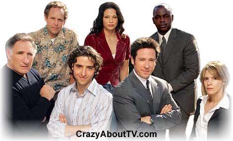 Numb3rs TV Show | Numbers tv show, Television show, Sabrina lloyd