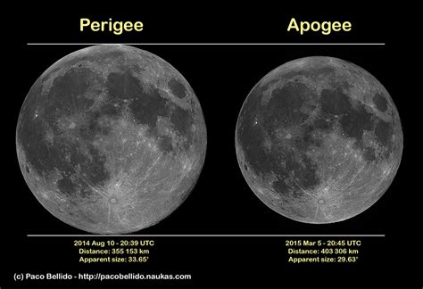 'Super Moon' to light up the skies on Monday - Australian Geographic