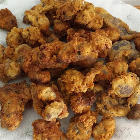 Southern Fried Chicken Gizzards – HOVERLAKE Recipe