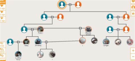 My cat family tree : r/UsefulCharts