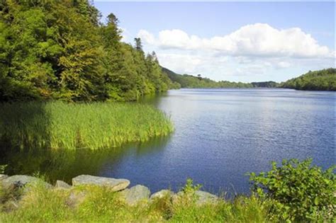 Castlewellan Forest Park | Caravans Website