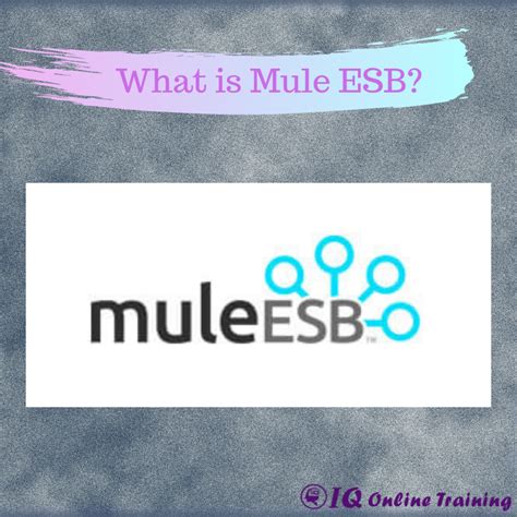 Mule ESB Tutorial | Why Mule ESB | What are the Capabilities and features of Mule ESB | by ...