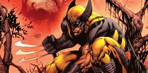 Wolverine Explains How He Can Be Killed (For Good) | Screen Rant