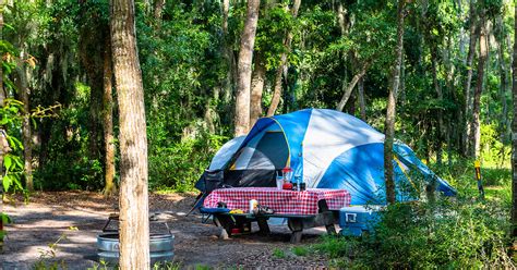 Jekyll Island Campground | Jekyll Island, GA 31527