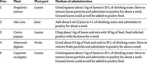 Treatment of Pasteurella anatipestifer infection using antibiotics... | Download Scientific Diagram