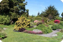 Rhododendrons at Mendocino Coast Botanical Gardens | Destinations ...