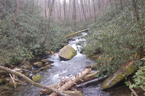 Joyce Kilmer Memorial Forest - Adventures of Davis