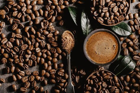 10 Best Organic Coffee Beans of 2021 - Reviews & Buying Guide